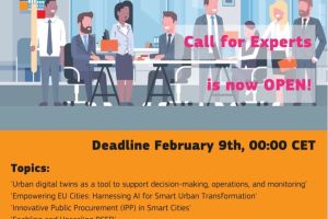 Scalable Cities Call for Experts 