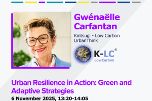 Urban Resilience in Action: Green and Adaptive Strategies